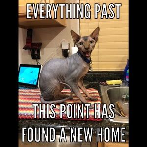 Working to sell for more kitty clothes 😻